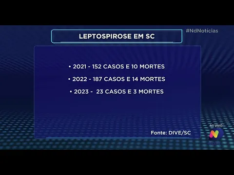 Letalidade da leptospirose por contato com água contaminada aumenta em SC desde 2021