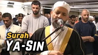                      سورة يس                                                                      دندنها