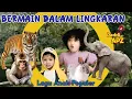 Download Lagu Lagu Anak Bermain Dalam Lingkaran | Lagu Hewan-Hewan Terpopuler