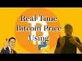 Bitcoin Price Python Project