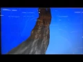 Flight simulator-CS 418 MP 2