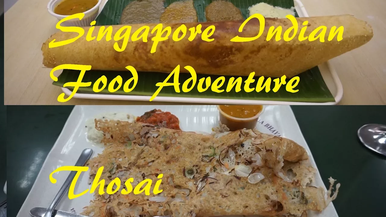 Singapore Indian Food Adventure : Thosai. Murugan Idli Shop & Ananada Bhavan Restaurant