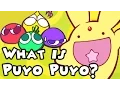What is Puyo Puyo A Brief Overview