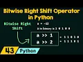 Bitwise Right Shift Operator in Python