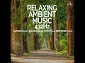Relaxing Ambient Music 432hz Nature Sounds, Binaural Beats, Theta Waves Meditation Music