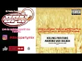 (Funk House) Armand Van Helden - Full Moon (feat. Common 06-2000)