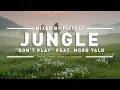 Jungle feat. Mood Talk – Don't Play (Club Mix by FiatCat) 118 bpm