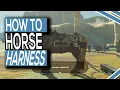 How To Equip Horse Towing Harness In Legend Of Zelda Tears Of The Kingdom