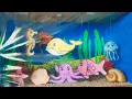 sea habitat model making using cardboard and paper diorama model making Shoe Box Aquarium