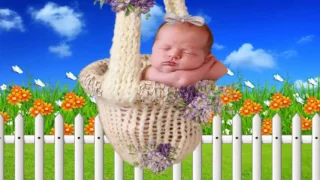 قيدوا شمعه صفاء أبو السعود 