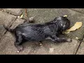 Download Lagu Ze werd alleen op straat geboren - ik werd haar moeder en gaf haar een tweede kans op leven