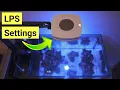 AI Prime 16 Settings For Success With LPS Soft Corals