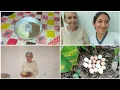 Download Lagu MINHA FILHA FEZ BOLO MESCLADO DE DOIS SABORES 😋 + OLHA SÓ QUE BENÇÃO QUE ENCONTREI NO SÍTIO!