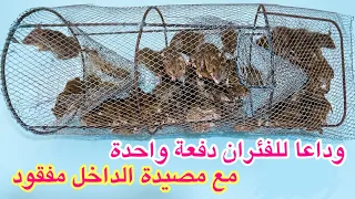 وداعا للفئران والعرسة دفعة واحدة مع مصيدة الداخل مفقود اصنعها بنفسك