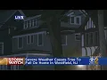 Storm Pushes Large Tree On To House In Westfield