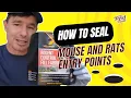 How to close holes so mice and rats don t get in using Xcluder Fill Fabric