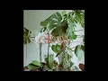 Freddie Joachim - Grow