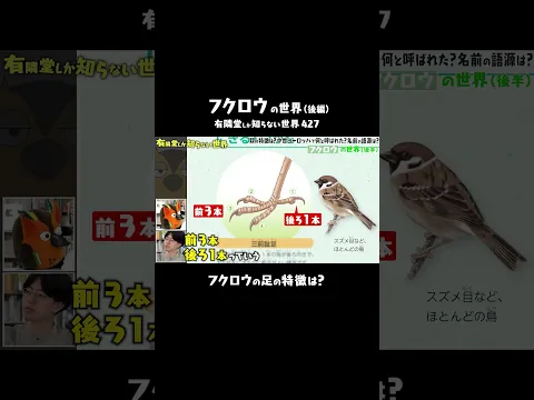【可変対趾足】フクロウの進化した足 #ゆうせか #有隣堂しか知らない世界 #ブッコロー #学研 #図鑑 #鳥 #フクロウ