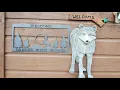 American Patriot Getaways Dances With Wolves Cabin Pigeon Forge Tennessee