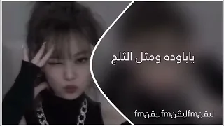 ريمكس بحث عنه الجميع يا بارده ومثل الثلج مطلوبة عراقي مميز اترند تيك تيك اغاني عراقيه 