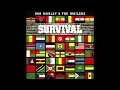 Bob Marley & The Wailers - Zimbabwe