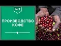 Download Lagu Производство кофе: сбор, обработка и упаковка кофе в стране произрастания☕