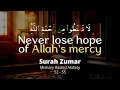 Download Lagu Surah Zumar | 52 - 55 | Mishary Rashid Alafasy