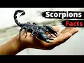 Download Lagu 10 Amazing Facts About Scorpions