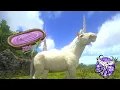 The BEST Way to Tame a UNICORN