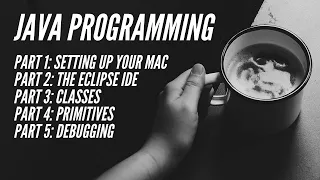 Java Programming Part 4 Primitives Complex Objects and Input and Output