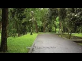 Lagu Yuni Shara - Kau Selalu Di Hatiku