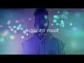 Porter - Pajaros