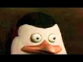 10 Minutes of Random Memes