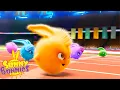 Download Lagu SUNNY BUNNIES - THE OLYMPIC RACE! | Season 1 COMPILATION | Cartoons for Kids