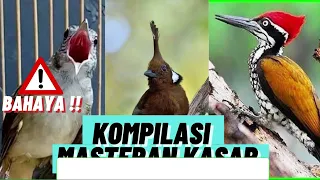 Download 1JAM Kompilasi Masteran  Kapas tembak, Cililin, Pelatuk Bawang || EDAN!! MP3