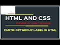 Optgroup label in forms in HTML HTML CSS General Discussion Part8