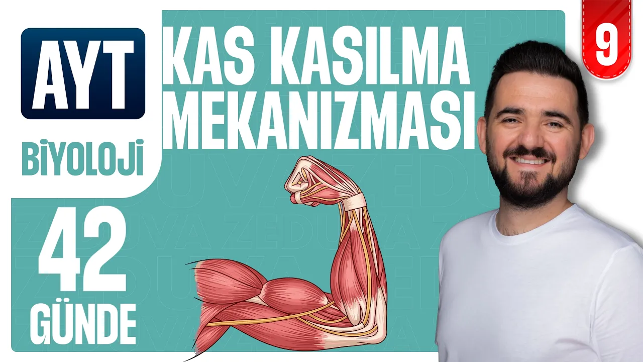 Kas Kasılma Mekanizması | 42 GÜNDE AYRINTILI AYT BİYOLOJİ KAMPI 2026-2027 | 9.GÜN