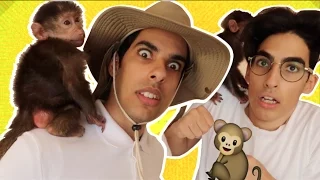 أفريكانو   لقينا قرد في الإستديو    دندنها