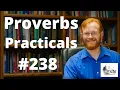 Proverbs Practicals 238 - Proverbs 25 16