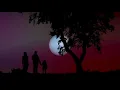 Ennja & Sublab - Never Forget