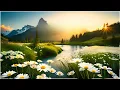 Download Lagu YANNI GREATEST HITS 2022- Peaceful Music for Relaxing- Positive feeling and energy