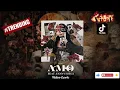 AMO - 510 Feat Fanny Soegi (Video Lyric)