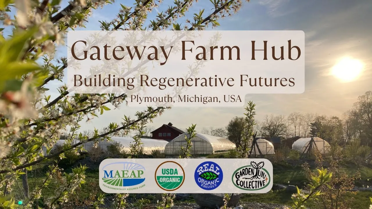 Gateway Farm Hub: Building regenerative futures