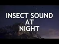 Download Lagu Nature at Night Sound Effect, Relaxing Insect Sound 15 Minutes Free No Copyright