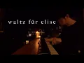 Download Lagu tony ann - waltz für elise MP3