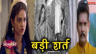 molkki purvi big demand