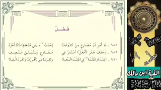 ألفية ابن مالك فصل بصوت نبيل جواس 