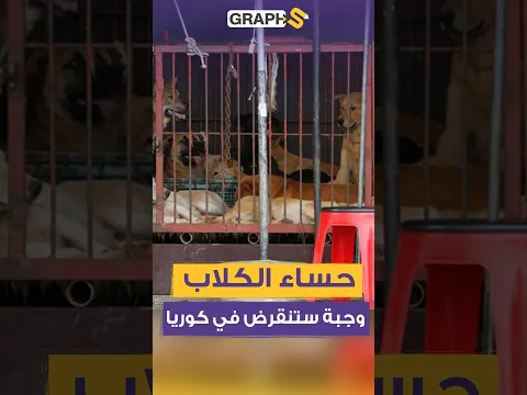 حساء الكلاب.. وجبة كورية جنوبية على وشك الاختفاء!
