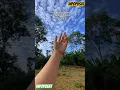 Download Lagu Syukuri apa adanya,hidup adalah anugrah #vlogshort #youtubeshorts #selalubersyukur