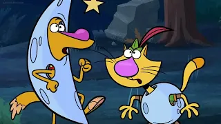                                                                دندنها